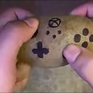 Meet your Posher, Gavin